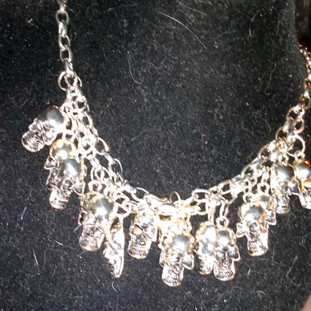 Fifteen Skulls Necklace